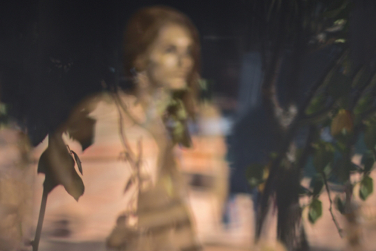 Soft-focus layered portrait of a woman seen through glass and foliage, exhibited by Zack Zublena at Duncan Miller Gallery in Los Angeles.