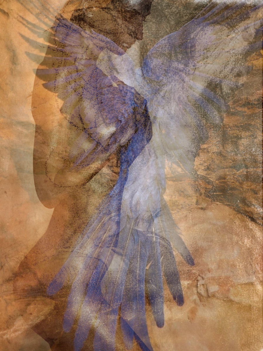 Fine art photography print by Zack Zublena showing a painted human figure with layered golden tones and translucent blue wings, highlighting form, color, and texture in a contemporary style.