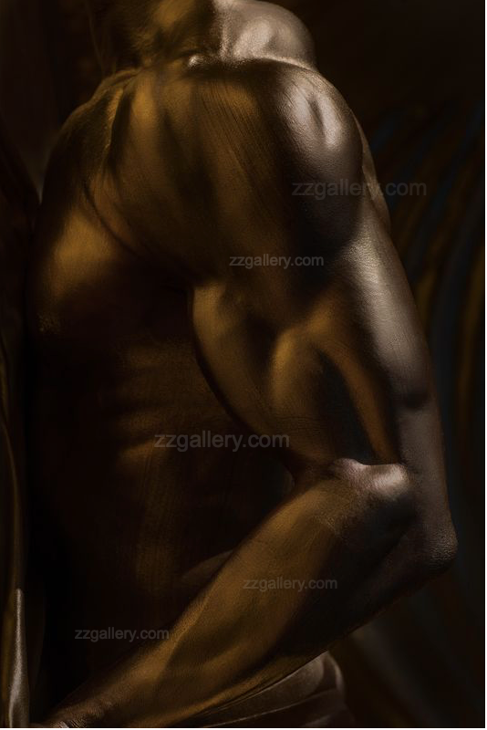Golden muscular male torso fine art print created for contemporary interiors, luxury gyms, wellness spaces, and modern design projects. A striking artwork for collectors, hotels, spas, and workout-inspired interiors, celebrating strength, discipline, and sculptural aesthetics.