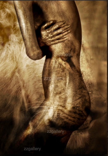 Golden-painted nude female body in side pose, seamlessly blended with the face of a lioness, symbolizing grace, power, and primal feminine energy in fine art photography by Zack Zublena.