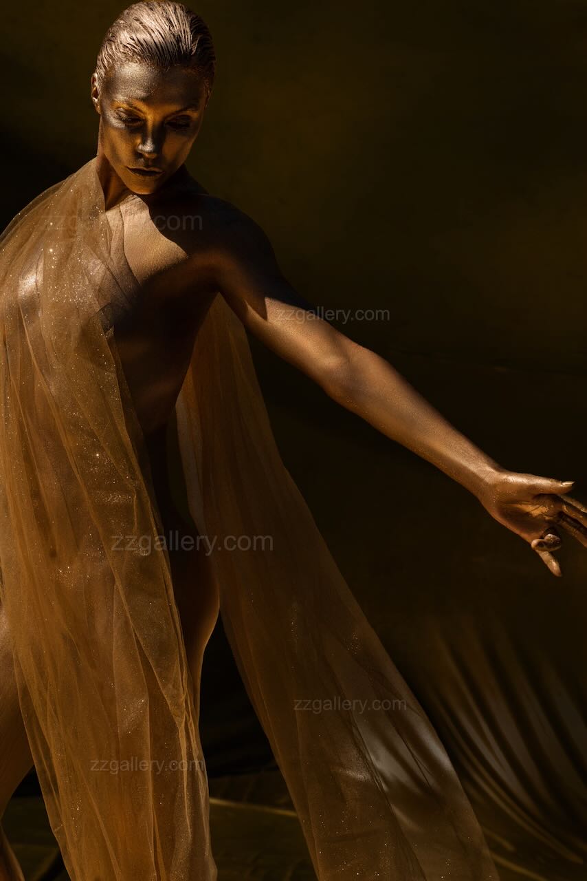 Golden fine art photograph titled The Bull Fighter, depicting a woman with metallic body paint draped in sheer fabric, extending her arm in a graceful matador-like pose.
