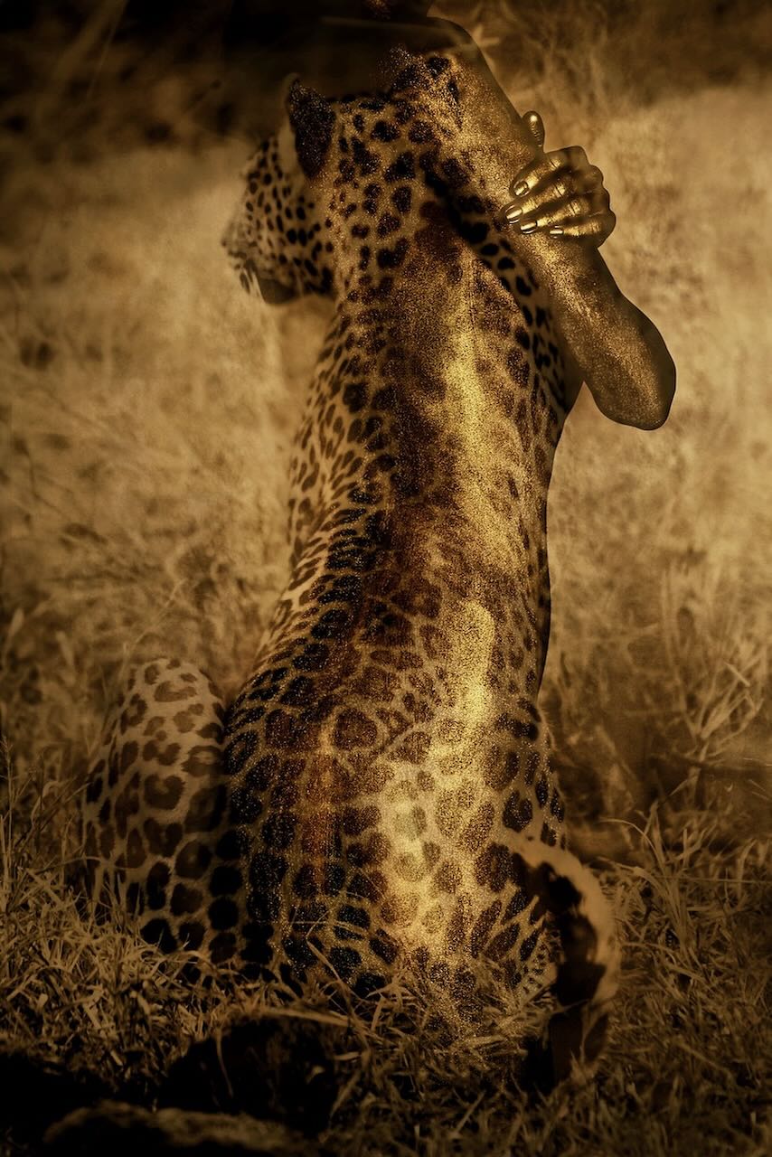 "Unveiled Instinct" by Zack Zublena: leopard art fine art photograph, a woman painted in gold seen from behind, her back becoming a leopard's coat as she holds herself in a tender embrace.