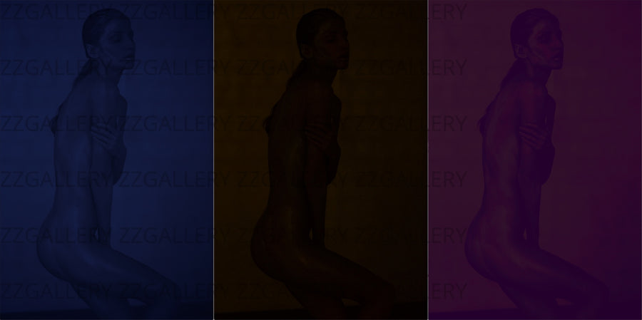 Inner Musings (3 separated pieces)