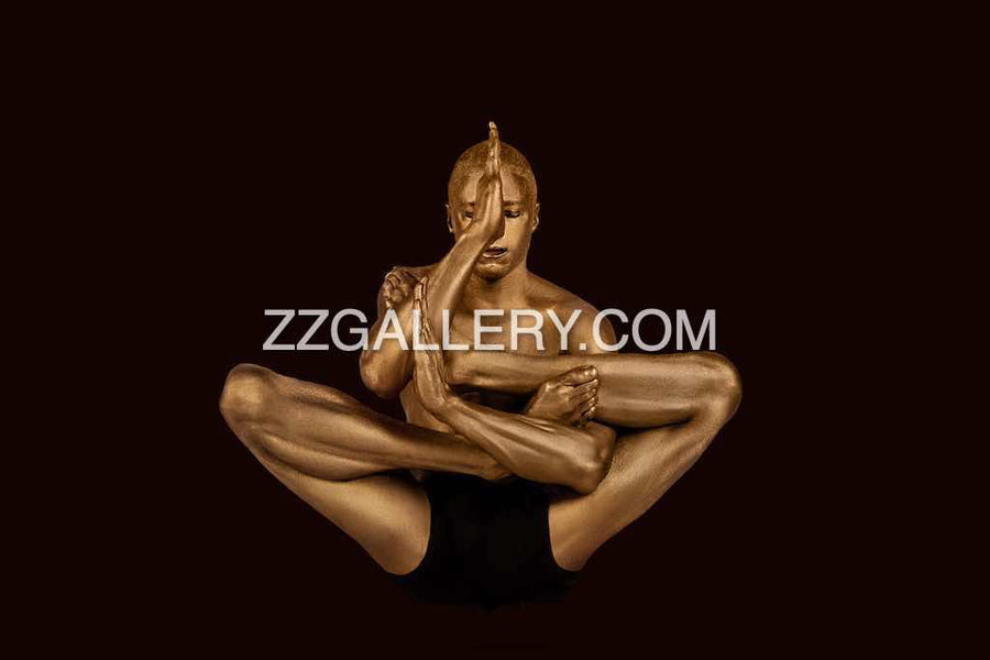 chondrocranium CODES (2 colors)