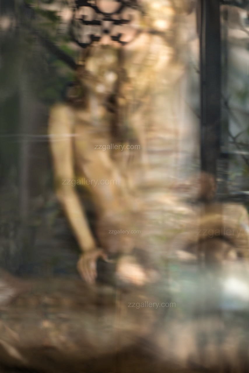 Golden Blurred Figure in Nature – Contemporary Fine Art Wall Photography