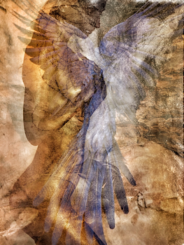 BLUE BIRD - RENAISSANCE