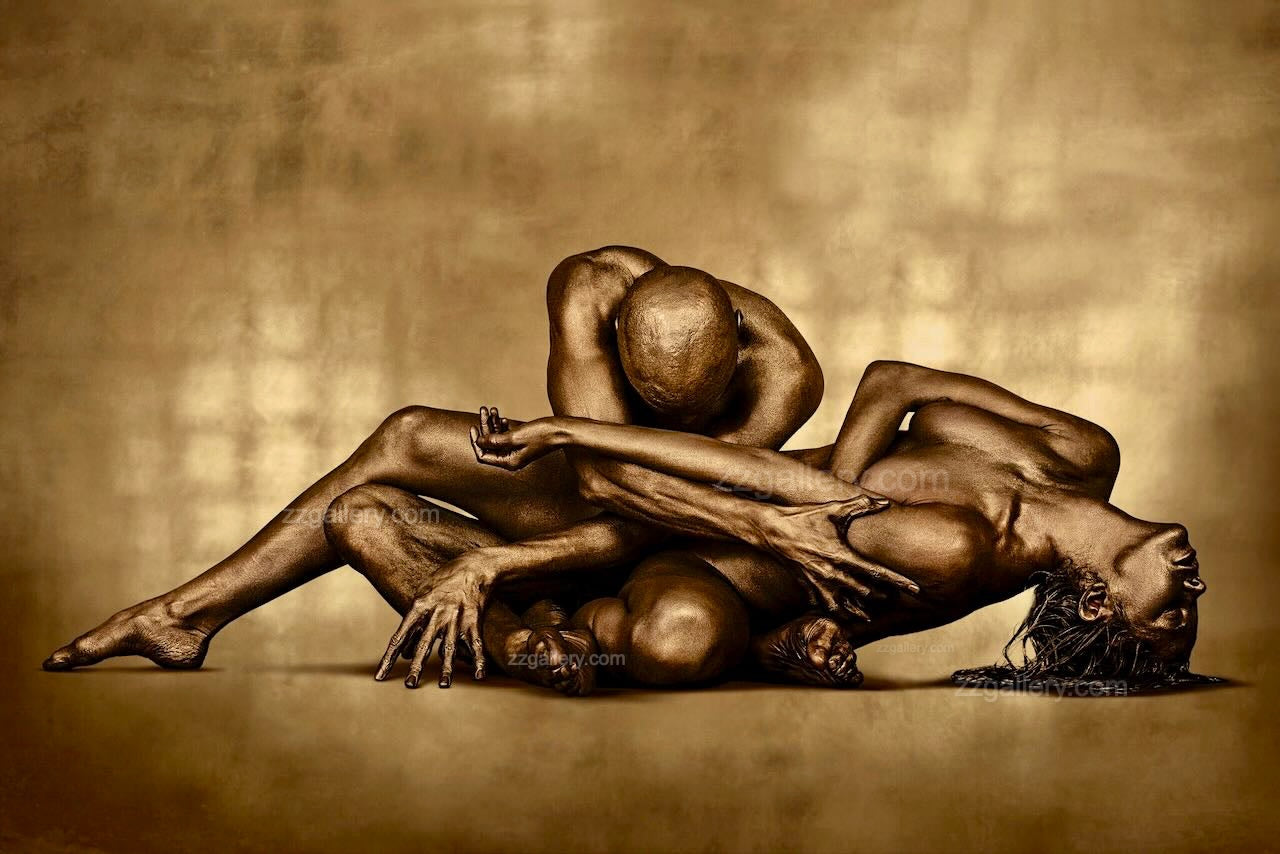 Golden Helix – Fine Art Wall Photography for Luxury Interiors