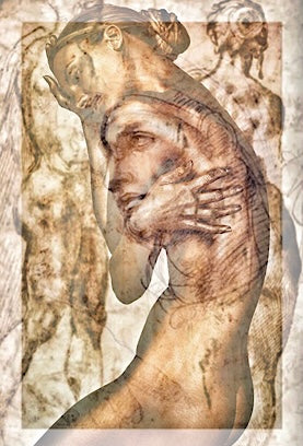 FIORELLA - RENAISSANCE
