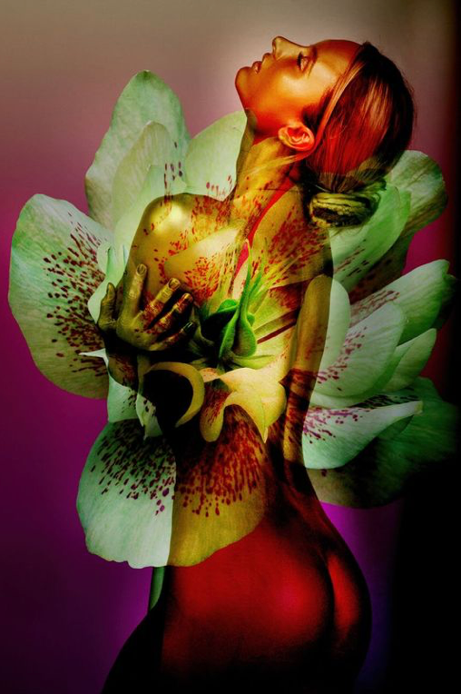 Golden nude female merged with orchid flower in mystical floral wall art by Zack Zublena – sensual feminine photography for luxury interiors