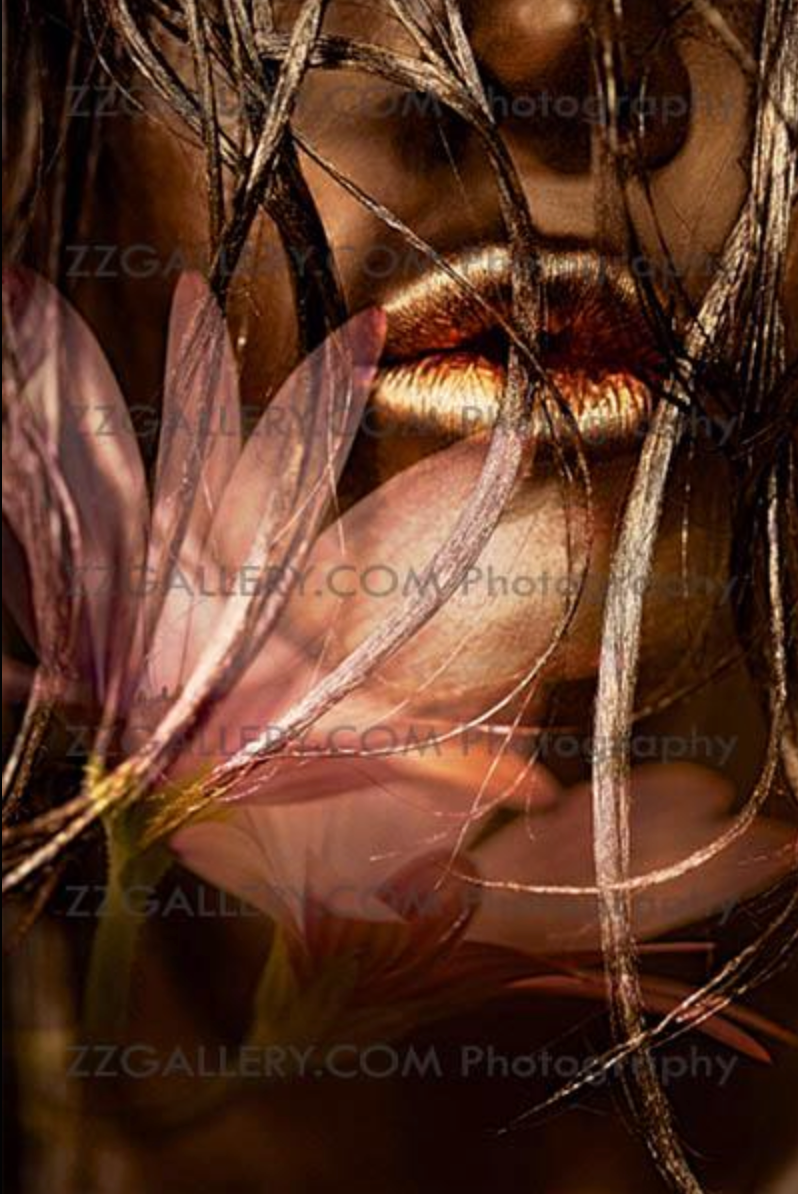 Sensual golden lips with pink flower petals, luxury fine art erotic photography wall art