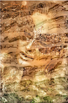 MUSICA FLORENTINA - RENAISSANCE