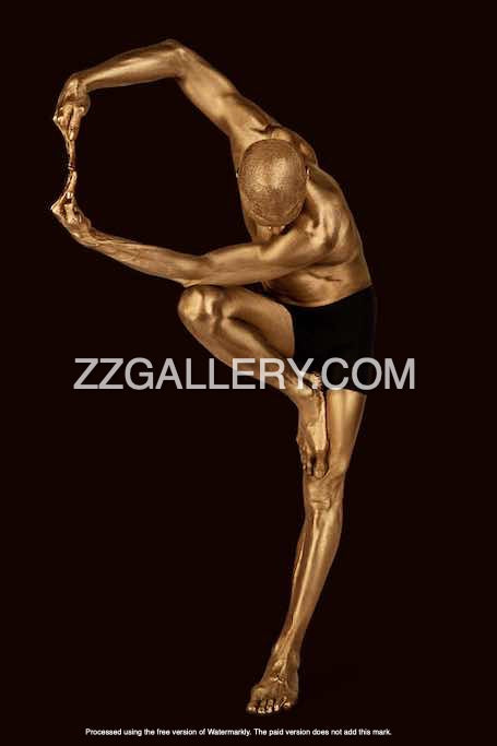 DREAM DANCER (2 colors)
