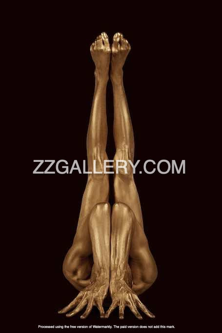 JACOB'S LADDER (2 colors)