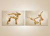 SET OF 2 Capricorn rising, Dance
