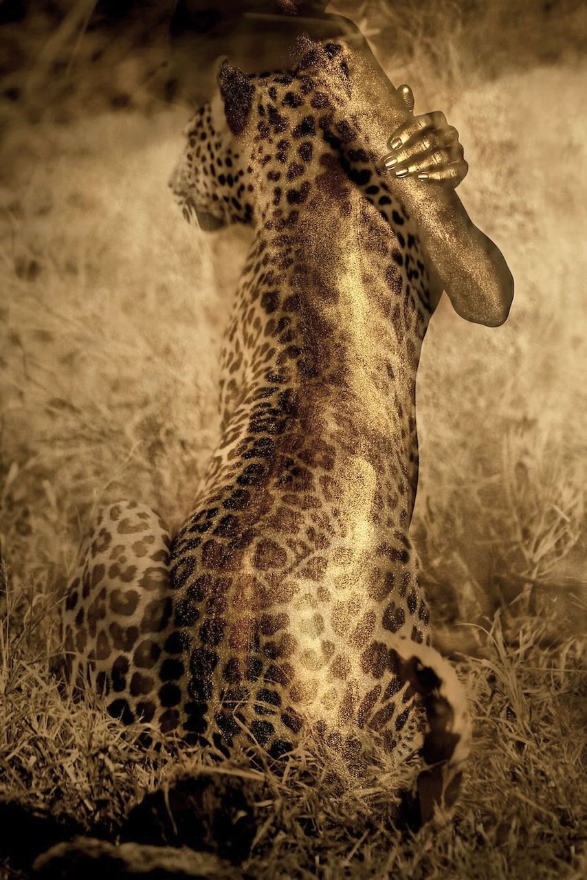 "Unveiled Instinct" by Zack Zublena: leopard art fine art photograph, a woman painted in gold seen from behind, her back becoming a leopard's coat as she holds herself in a tender embrace.