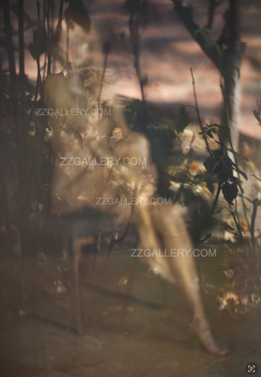 Golden nude female figure sitting behind trees and glass, abstract fine art wall decor with nature, light, and sensual mystery