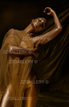 Golden nude woman draped in translucent veil – sensual fine art photography in gold tones