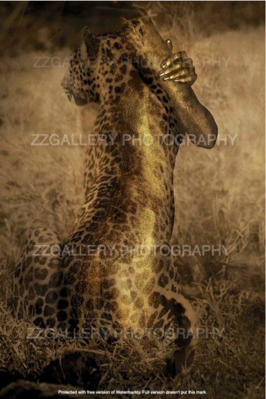 Golden figure artistically fused with a leopard’s back, fine art photography print for luxury wall decor.