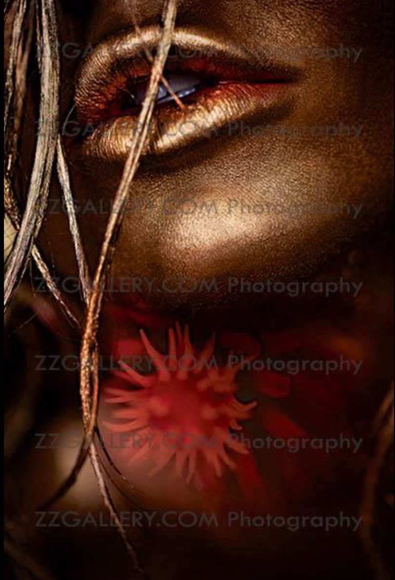 Close-up of golden painted lips with red flower, luxury erotic fine art wall decor photography