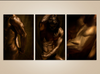 Golden male nude triptych gay erotic fine art photography – luxury LGBTQ+ wall art for bedrooms and collectors