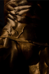 golden male torso in thong, erotic fine art photography, luxury gold body painting wall art