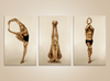 Golden male yoga triptych with three sculptural poses, fine art photography in gold for luxury wall decor