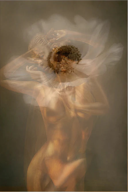 Golden nude female figure fused with blooming flower, surreal fine art wall decor