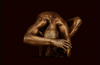 Golden nude male in sculptural fetal pose against deep dark background
