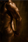 Golden nude male photography showing strong back muscles and sculpted physique, luxury fine art wall decor