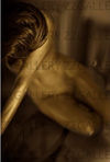 Elegant nude woman painted in gold with great hair, fine art nude photography, collectible luxury wall art for interior design inspired by Saatchi Art, Singulart, 1stdibs, and Etsy