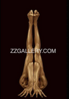 gold-painted nude in upside-down yoga pose with hands rooted like branches, on dark velvet background, symbolizing stillness and divine grounding