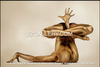 Golden-painted nude yoga pose on light background – fine art photography by Zack Zublena, divine masculine and feminine balance wall art