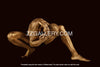Golden-painted male figure in a crouched yoga power pose, fine art body photography in radiant gold tones on dark background.
