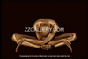 Golden-painted yogi in a forward bend pose on a deep dark background, expressing serenity, balance, and artistic elegance. Fine art wall décor by Zack Zublena.