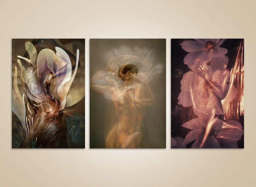 Golden nude fine art photography set with floral overlays – luxury wall art for spas, interiors, and collectors.