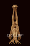 Golden-painted yogic figure inverted skyward, conceptual fine art photography by Zack Zublena from the Vacuum State collection, minimalist spiritual wall art.