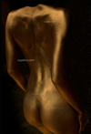 Artistic golden back photograph highlighting shadow and light, elegant fine art print for modern interiors, spas, and collectors.