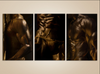 Luxury golden male nude torso triptych fine art print on museum paper, sensual gay wall art for hotels, spas, collectors and LGBTQ+ interiors