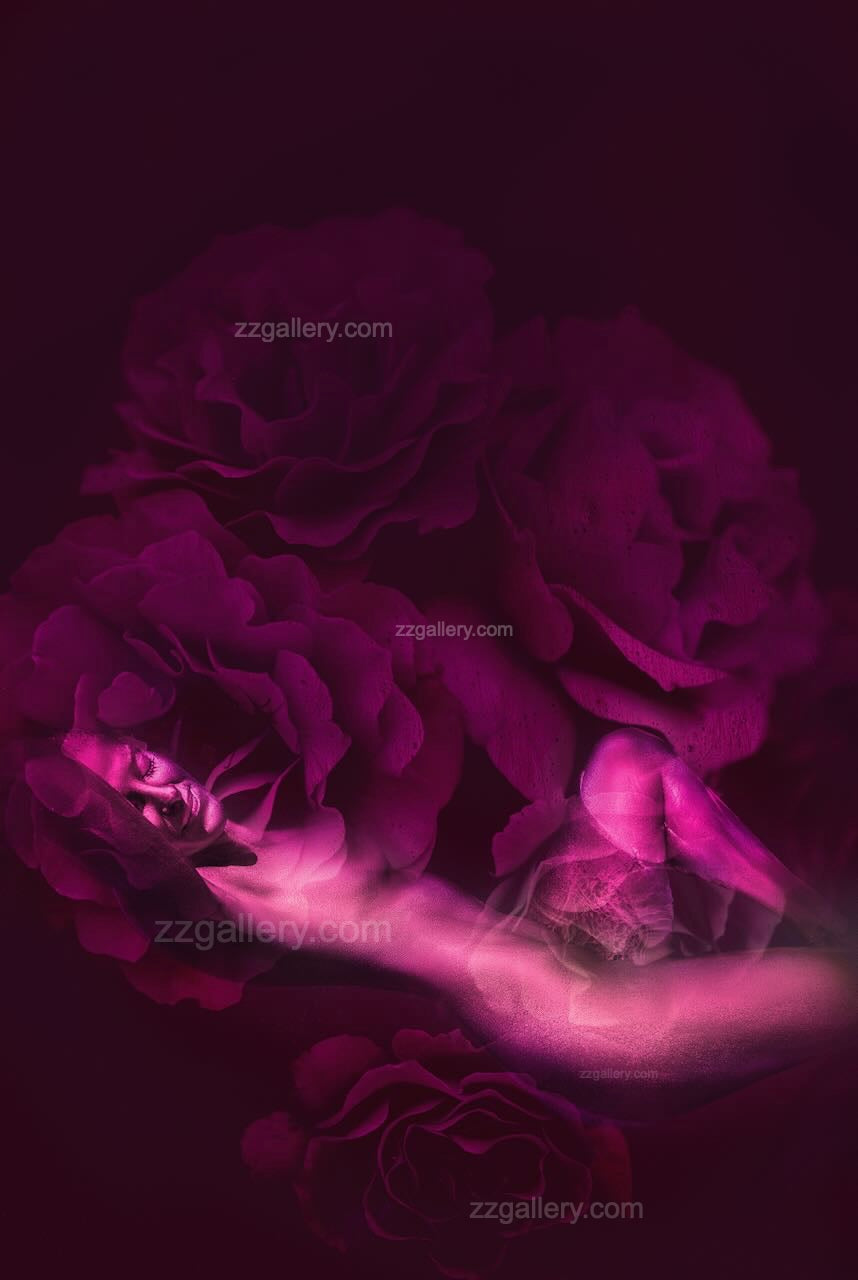 Surreal golden artwork with luminous figure surrounded by vibrant magenta roses in dreamy fine art wall decor.