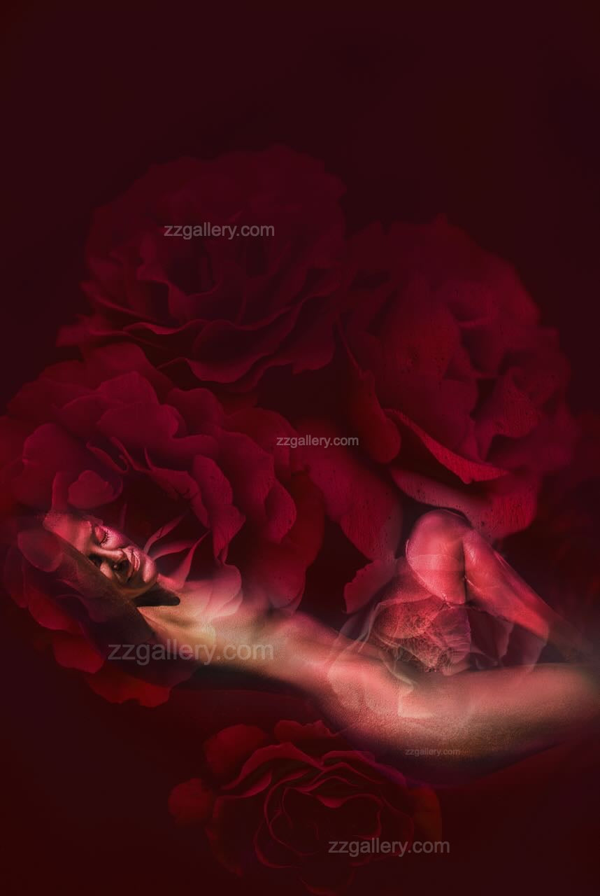 Dreamlike golden surreal artwork with shimmering figure surrounded by large roses in fine art wall decor.