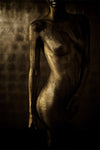 Golden-painted nude female torso captured in dramatic light, showcasing elegant curves and sensual fine art body photography.